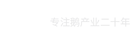 六安龍翔美食王禽業(yè)有限公司